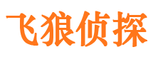 和龙外遇出轨调查取证